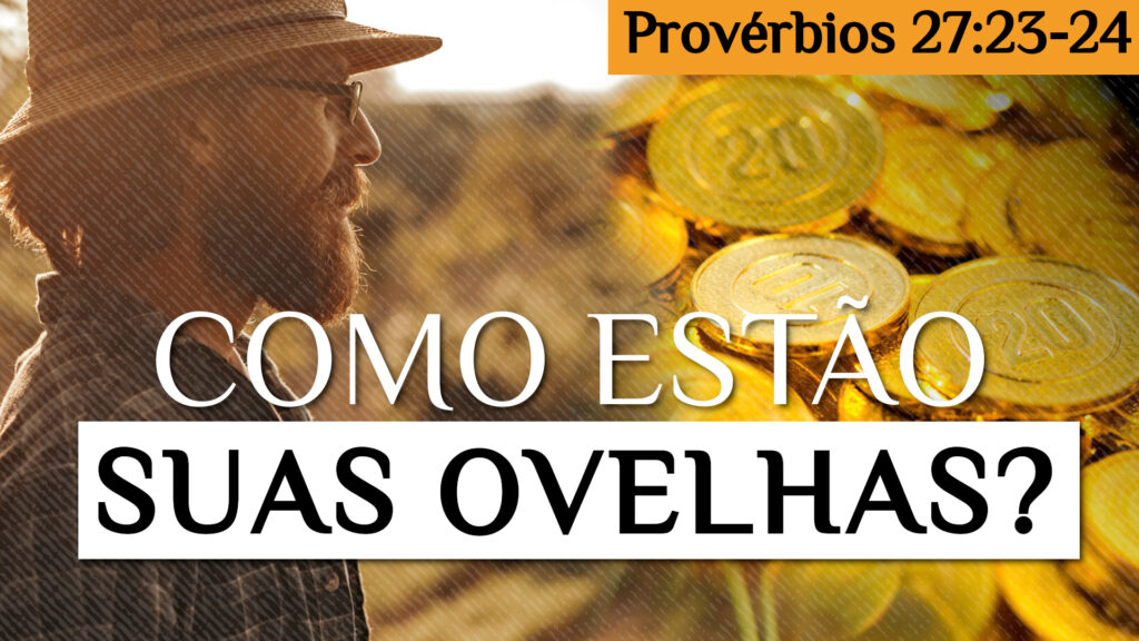 Como Estão Suas Ovelhas? Provérbios 27:23-24